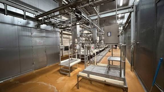 Meat processing hall with overhead carcass rail line and stainless work platforms
